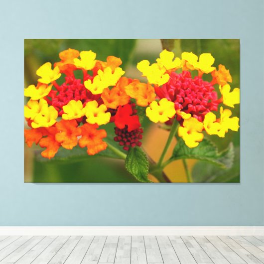 WILD LANTANA 32x48 Canvas Afdruk (Insitu (Houten vloer))