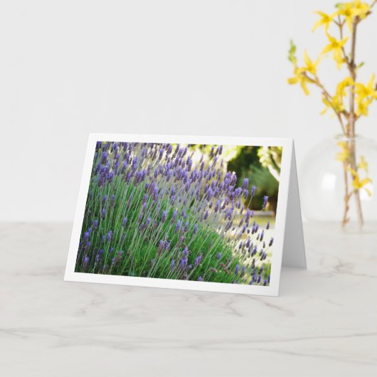 Wild Lavender Portret Kaart (Gele Bloem)