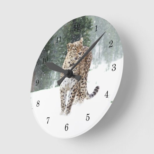 Wild Leopard in sneeuw Ronde Klok (Hoek)