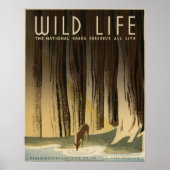 Wild Life  1940 National Park Service Poster (Voorkant)