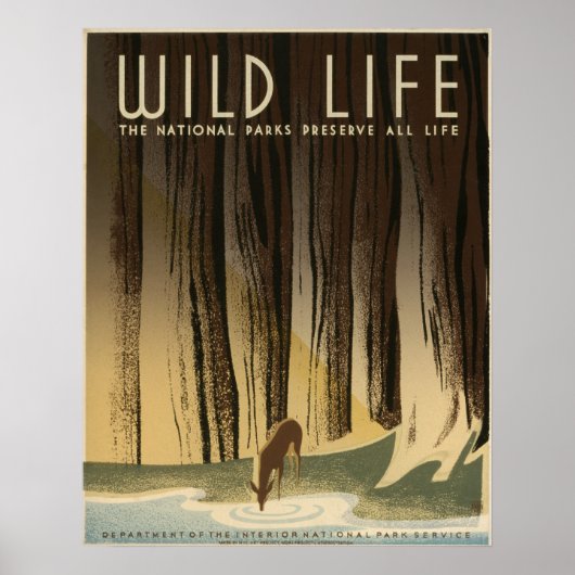 Wild Life  1940 National Park Service Poster (Voorkant)