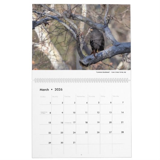 Wild Life 2026 Calendar Kalender (Mar 2026)