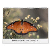 Wild Life 2026 Calendar Kalender (Hoes)