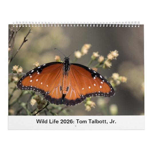 Wild Life 2026 Calendar Kalender (Hoes)