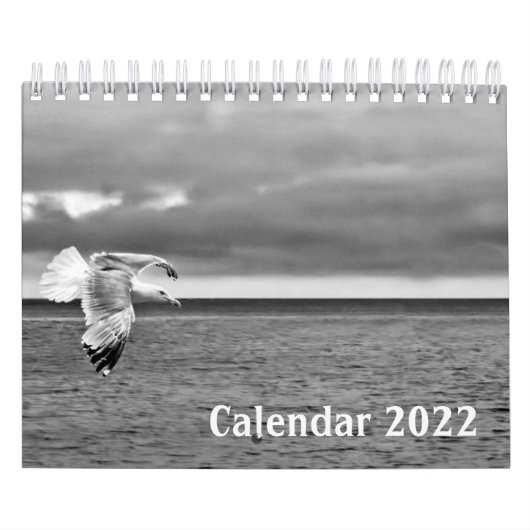 Wild Life Black en White Calendar 2022 Kalender (Hoes)