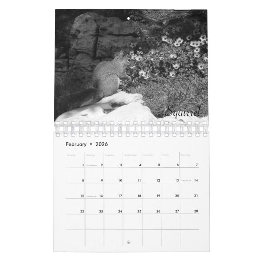 Wild Life Black en White Calendar 2022 Kalender (Feb 2026)