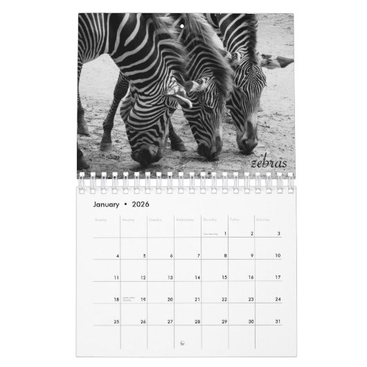 Wild Life Black en White Calendar 2022 Kalender (Jan 2026)