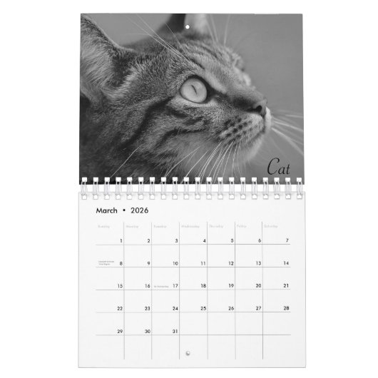Wild Life Black en White Calendar 2022 Kalender (Mar 2026)