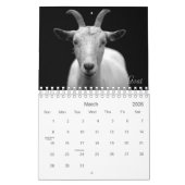 Wild Life Black en White Printed Calendar 2022 Kalender (Mar 2026)
