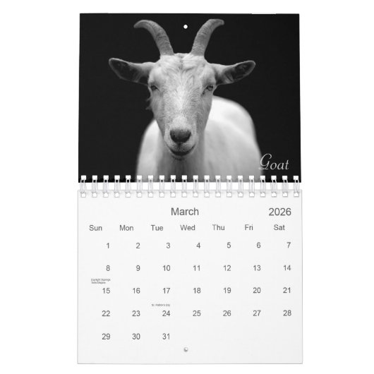 Wild Life Black en White Printed Calendar 2022 Kalender (Mar 2026)