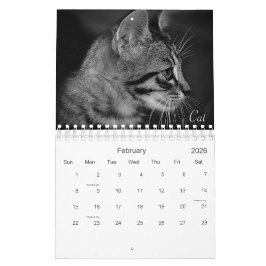 Wild Life Black en White Printed Calendar 2022 Kalender (Feb 2026)