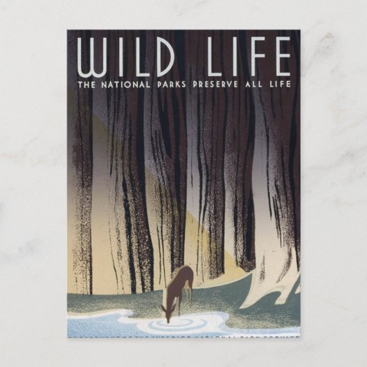 Wild Life Briefkaart (Voorkant)