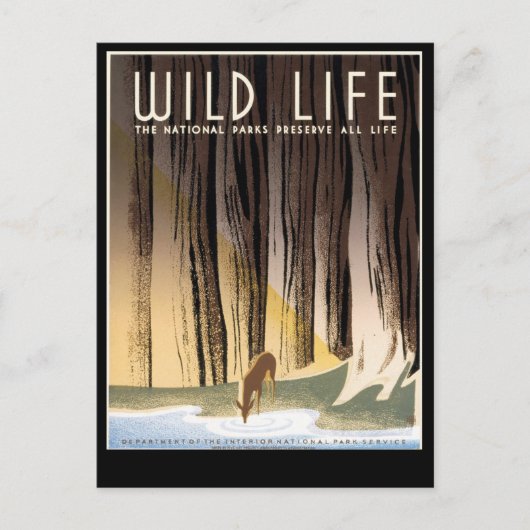 Wild Life Briefkaart (Voorkant)