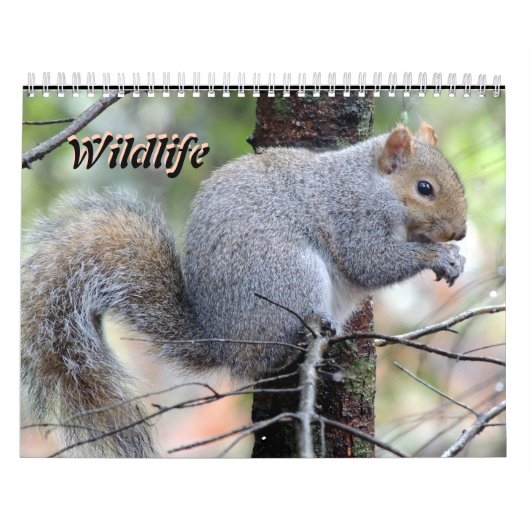 Wild Life Calendar Kalender (Hoes)