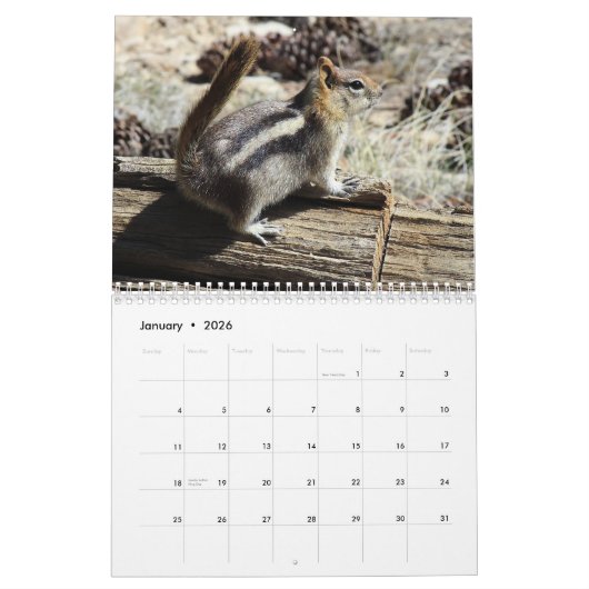 Wild Life Calendar Kalender (Jan 2026)
