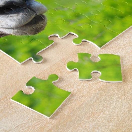 Wild Life Canada. Big Horn Sheep. Legpuzzel (Zijkant)