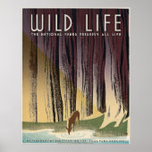 Wild Life - De nationale parken behouden het hele  Poster (Voorkant)