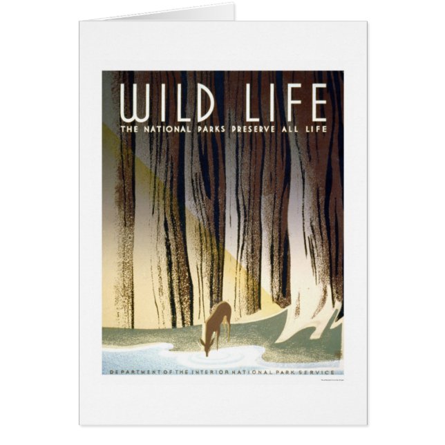 Wild Life National Park 1940 WPA (Voorkant)