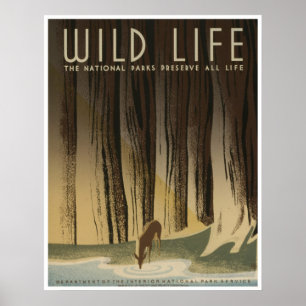 Wild Life: Nationale parkdiensten Poster