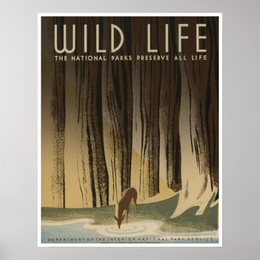 Wild Life: Nationale parkdiensten Poster (Voorkant)