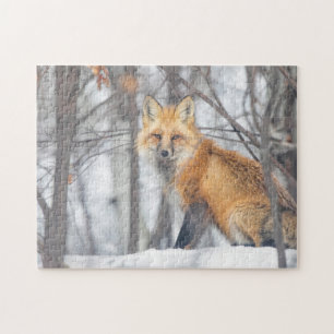 Wild Life Red Fox Hunting in Snowy Forest Winter Legpuzzel