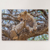 Wild Life Safari Luipaard Zittend In Een Boom 1014 Legpuzzel (Horizontaal)