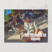 Wild Life Sydney Zoo in Australië Briefkaart (Voorkant)