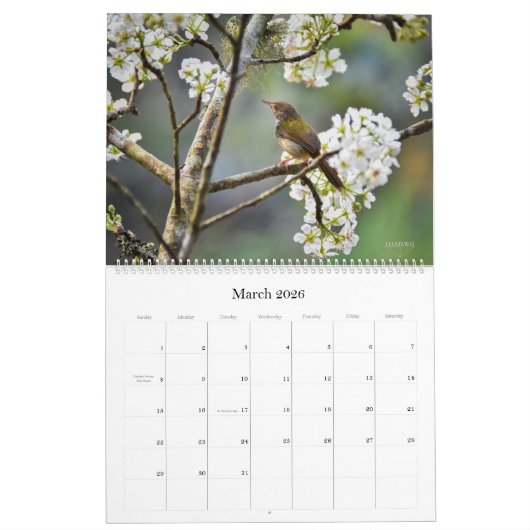 Wild Life Wall Agenda - HAMbWG Kalender (Mar 2026)