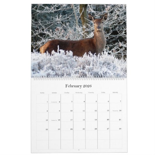 Wild Life Wall Agenda - HAMbWG Kalender (Feb 2026)