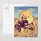 Wild Lion Briefkaart (Voorkant / Achterkant)