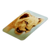 Wild Lion, Realistic Animal Art Photo Magnet Magneet (Linkerzijde)