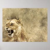 Wild Lion Safari Oerwoud Kunstwerk Foto Poster (Voorkant)