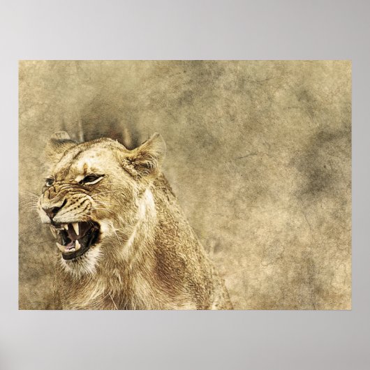 Wild Lion Safari Oerwoud Kunstwerk Foto Poster (Voorkant)