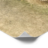 Wild Lion Safari Oerwoud Kunstwerk Foto Poster (Hoek)