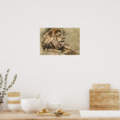 Wild Lion Safari Oerwoud Kunstwerk Foto Poster (Keuken)