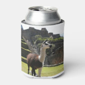 Wild Llama Near Ruins Blikjeskoeler (Blikje Voorkant)