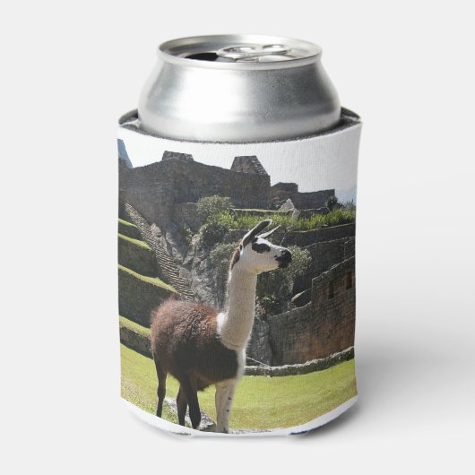 Wild Llama Near Ruins Blikjeskoeler (Blikje Voorkant)