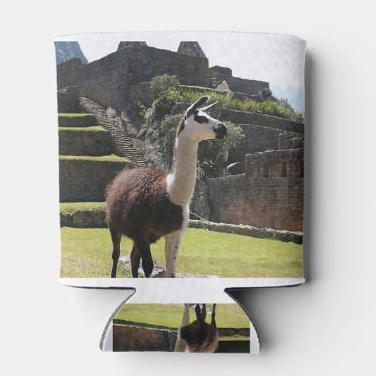 Wild Llama Near Ruins Blikjeskoeler (Achterkant)