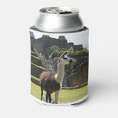 Wild Llama Near Ruins Blikjeskoeler (Blikje Achterkant)