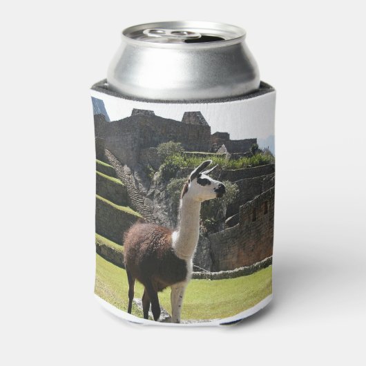 Wild Llama Near Ruins Blikjeskoeler (Blikje Achterkant)