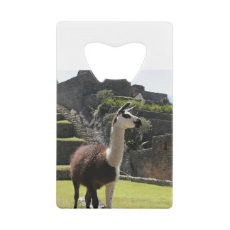 Wild Llama Near Ruins Creditkaart Flessenopener