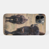 Wild Love: De bizon en haar kalf Case-Mate iPhone Case (Achterkant (horizontaal))