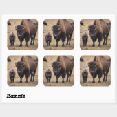 Wild Love: De bizon en haar kalf Vierkante Sticker (Vel)