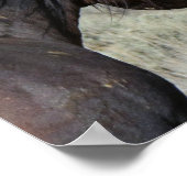 WILD LOVE HORSES POSTER (Hoek)