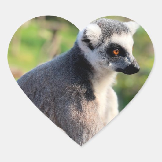 Wild Love: Voor Australië Hart Sticker (Voorkant)