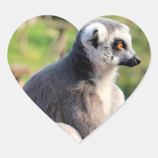 Wild Love: Voor Australië Hart Sticker (Voorkant)