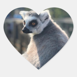 Wild Love: Voor Australië Hart Sticker