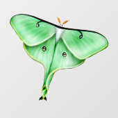 Wild Luna Moth Insect Bug Window Cling Raamsticker (Vel)