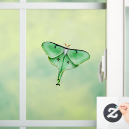 Wild Luna Moth Insect Bug Window Cling Raamsticker
