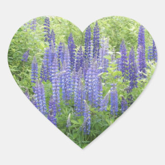 Wild Lupine Hart Sticker
